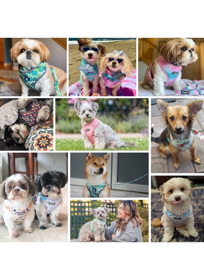 Blueberry Pet Blueberry Pet Soft & Comfy Spring Scent Inspired Floral Rose Baby Pink Dog Harness Vest, Chest Girth 19.5" - 26", Medium, Adjustable Harnesses for Dogs  - Image 3