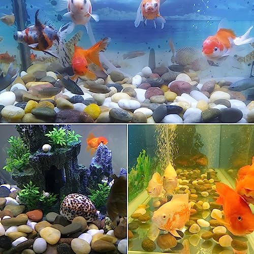 SHIZWU 5LB Mixed Color River Rocks - 2-3 inch High Polished Decorative Pebbles, Stones for Landscaping,Natural River Rocks for Outdoor Décor, Plants,Vase Filler,Fish Tank - Image 5