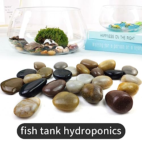 SHIZWU 5LB Mixed Color River Rocks - 2-3 inch High Polished Decorative Pebbles, Stones for Landscaping,Natural River Rocks for Outdoor Décor, Plants,Vase Filler,Fish Tank - Image 4