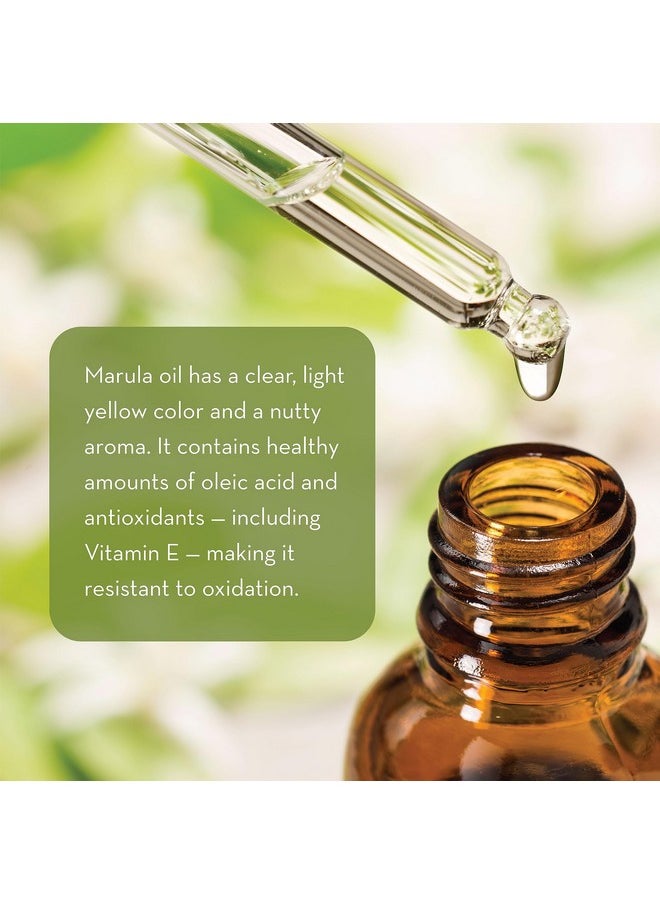 PURE BODY NATURALS Marula Facial Oil 1 Fluid Ounce Coldpressed Refined Luxury Beauty Oil For Face And Hair Vegan Glutenfree And 100% Natural  - Image 4