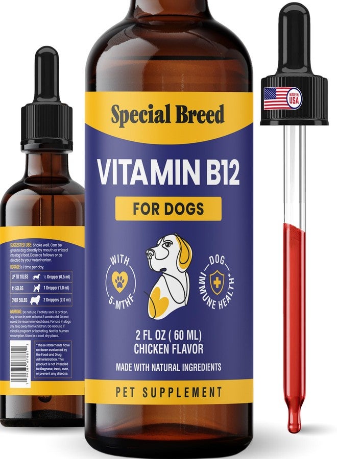 Special Breed Liquid Vitamin B12 for Dogs – Methylcobalamin and 5-MTHF – Boosts Energy, Appetite, Mood & Immune System Support, Easy-to-Use Dropper - Chicken Flavor, 2 fl oz - Image 1