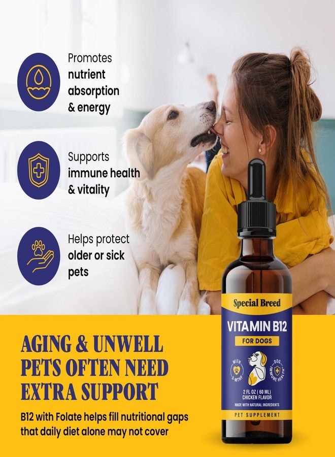 Special Breed Liquid Vitamin B12 for Dogs – Methylcobalamin and 5-MTHF – Boosts Energy, Appetite, Mood & Immune System Support, Easy-to-Use Dropper - Chicken Flavor, 2 fl oz - Image 2