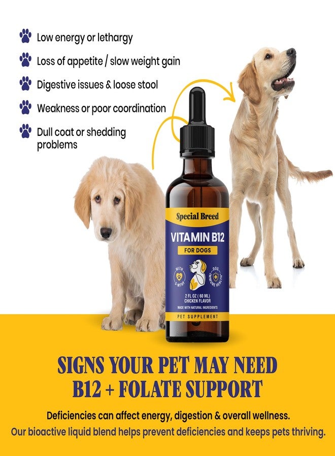 Special Breed Liquid Vitamin B12 for Dogs – Methylcobalamin and 5-MTHF – Boosts Energy, Appetite, Mood & Immune System Support, Easy-to-Use Dropper - Chicken Flavor, 2 fl oz - Image 3