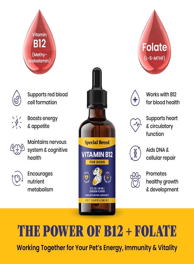 Special Breed Liquid Vitamin B12 for Dogs – Methylcobalamin and 5-MTHF – Boosts Energy, Appetite, Mood & Immune System Support, Easy-to-Use Dropper - Chicken Flavor, 2 fl oz - Image 4