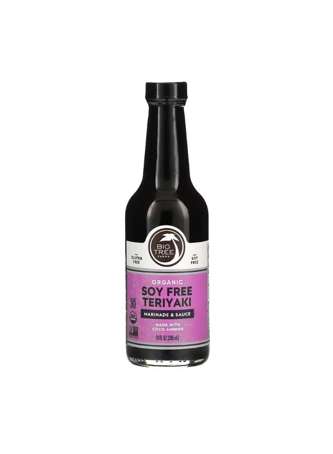 BIG TREE FARMS Organic Soy Free Teriyaki Marinade And Sauce 10 fl oz 296 ml - Image 1