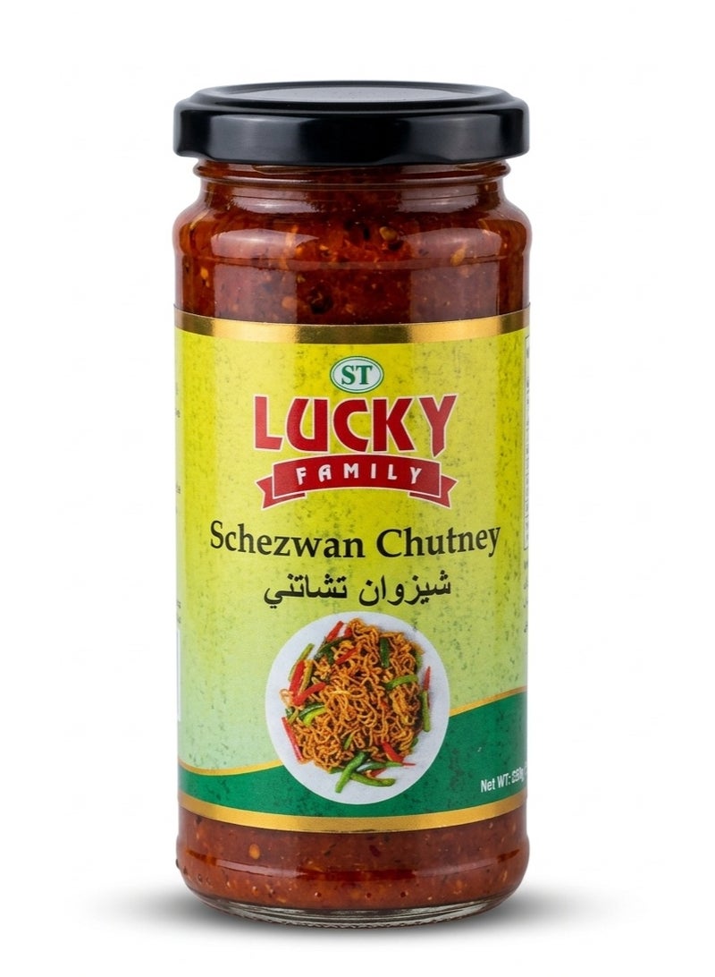 Schezwan Chutney 250g