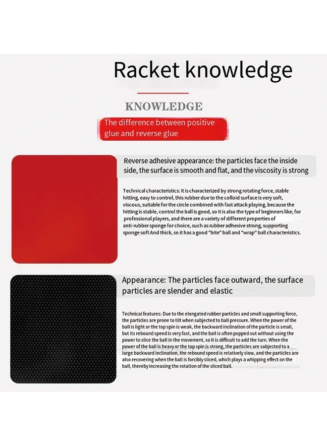 اسم المحتوى ناريلا مجموعة مجداف بينج بونج للمبتدئين 036A من DOUBLE FISH - مجدافان بمقبض طويل مع ثلاث كرات - Image 4
