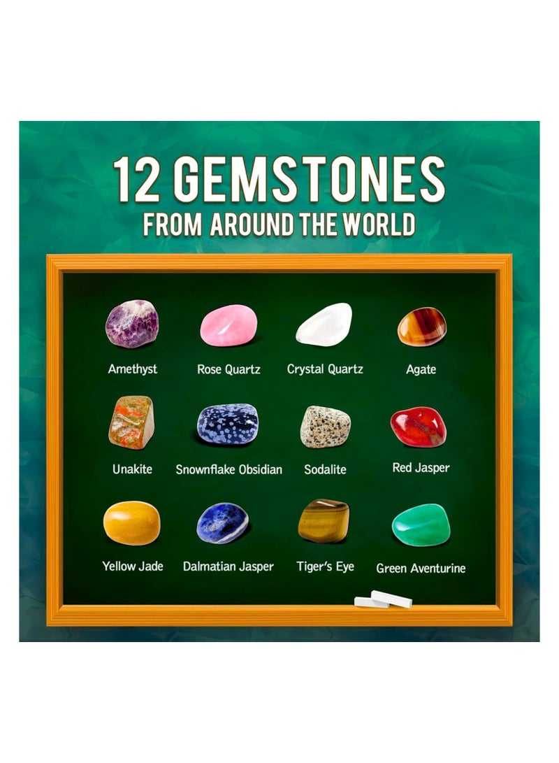 Beauenty Gemstone Dig Kit - 12 Real Gemstone  Crystal Kids Gems Digging Kit Mineral  Rock Collection for Kids Archaeology Geology Science Educational Gift STEM Toys for Boys  Girls - Image 2