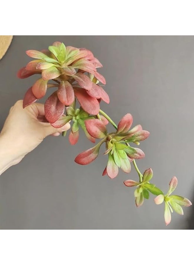 Arabest 2 Pack Realistic Large Artificial Succulents - Lifelike Faux Hanging Plants for Wall, Low Maintenance Home Decor, Indoor & Outdoor Use - Image 4