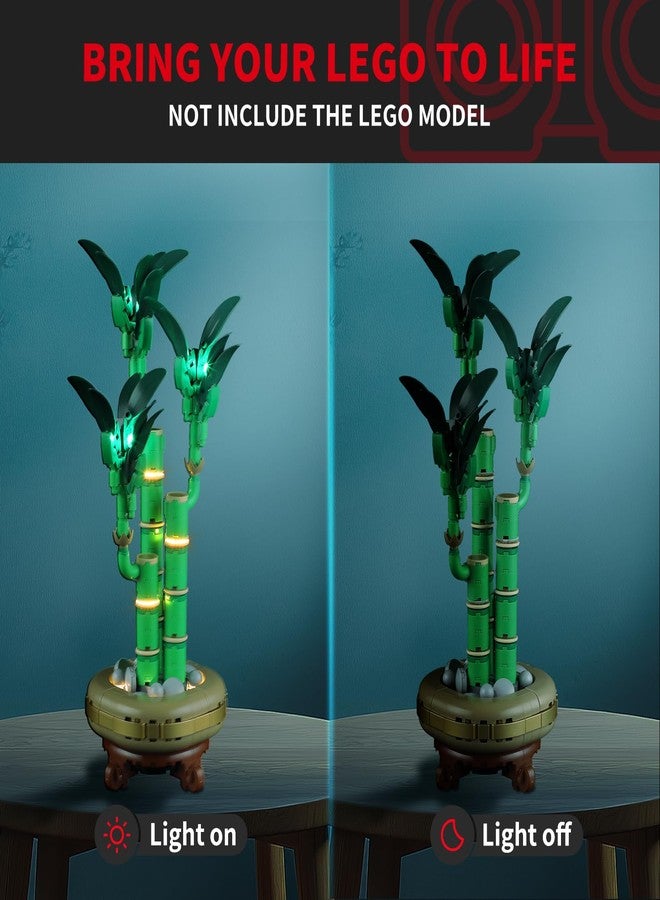 BRIKSMAX Light Kit for Lego-10344 Lucky Bamboo -Led Lighting Kit Compatible with Lego The Botanical Collection Building Set- Not Include Lego Set - Image 3