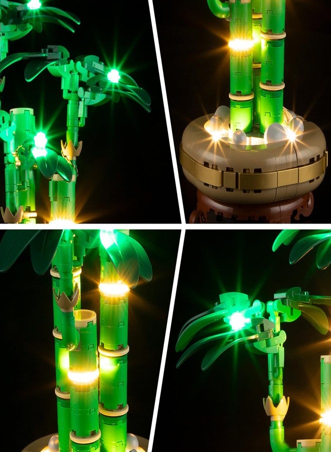 BRIKSMAX Light Kit for Lego-10344 Lucky Bamboo -Led Lighting Kit Compatible with Lego The Botanical Collection Building Set- Not Include Lego Set - Image 5