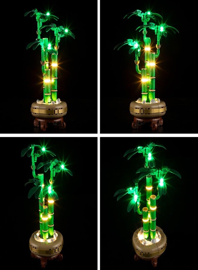 BRIKSMAX Light Kit for Lego-10344 Lucky Bamboo -Led Lighting Kit Compatible with Lego The Botanical Collection Building Set- Not Include Lego Set - Image 4