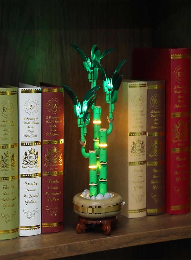 BRIKSMAX Light Kit for Lego-10344 Lucky Bamboo -Led Lighting Kit Compatible with Lego The Botanical Collection Building Set- Not Include Lego Set - Image 2