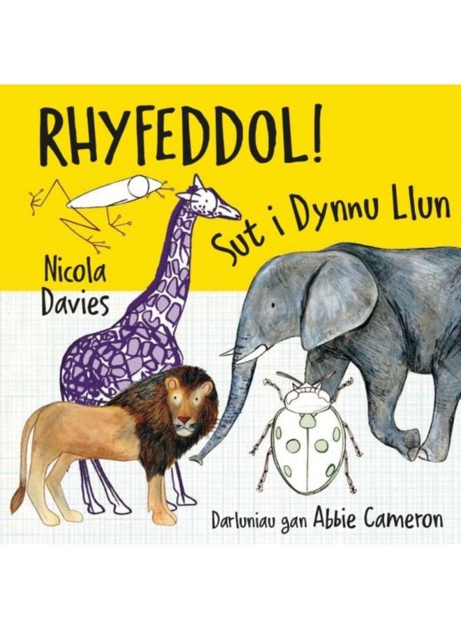 Rhyfeddol Sut i Dynnu Llun - Paperback