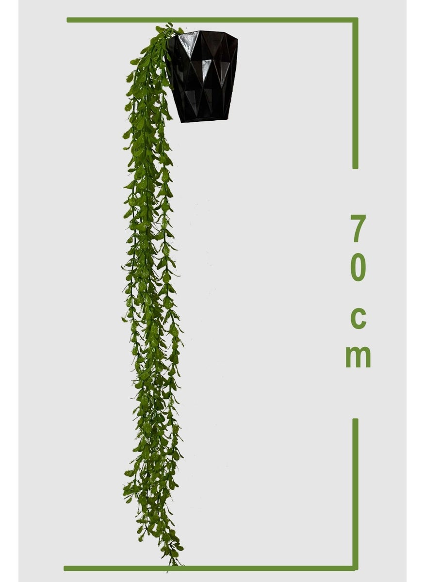 Artificial Flower 70 cm Lamb's Ear (Elodea) Plant - pzsku/ZA8673F9597BA722C9B3CZ/45/_/1730752284/69a3d625-6a03-4633-b5e0-835a9495765e