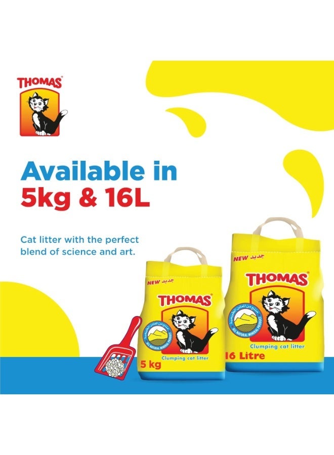 Thomas Cat Litter, Natural Minerals Litter Sand, it's Clumping and Highly Absorbent Nature Ensures Come Back to Litter Box with Comfort, Bag of 5/16kg - Image 2