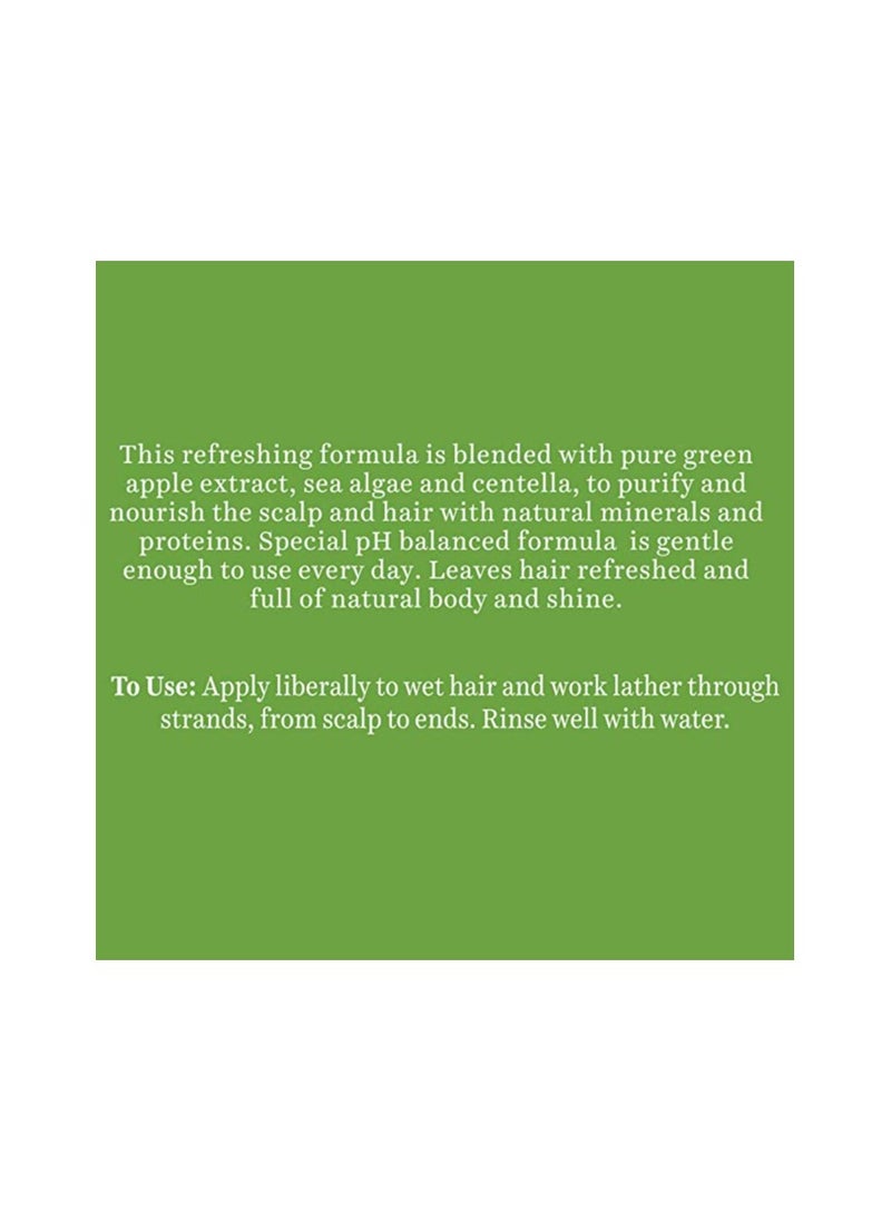 Biotique Biotique  Green Apple Fresh Daily Purifying Shampoo And Conditioner For Oily Scalp And Hair, 340Ml, Multi  - Image 5