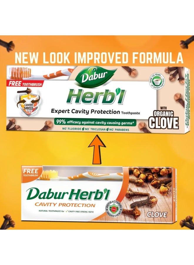 دابر معجون أسنان دابور العشبي بخلاصة القرنفل لحماية التسوس، 150 جم + فرشاة أسنان (عبوة من قطعتين) - Image 2