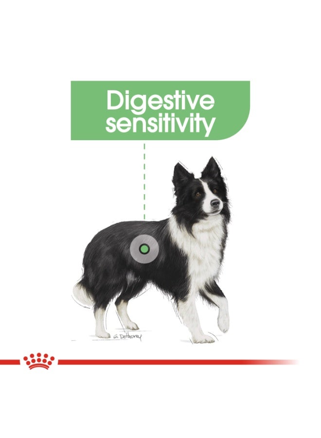 ROYAL CANIN Canine Care Nutrition Medium Digestive Care 12 kg - Image 3