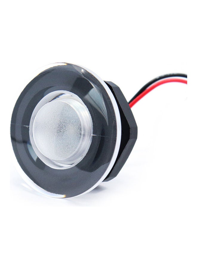 Loquat Dome LED Light - Image 1