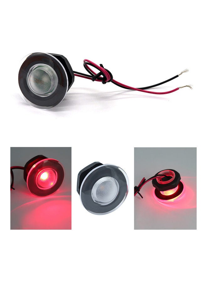 Loquat Dome LED Light - Image 3