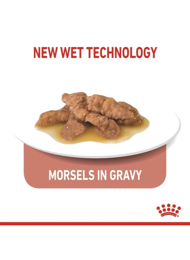 ROYAL CANIN Feline Health Nutrition Indoor (WET FOOD - Pouches) 12 x 85g - Image 4