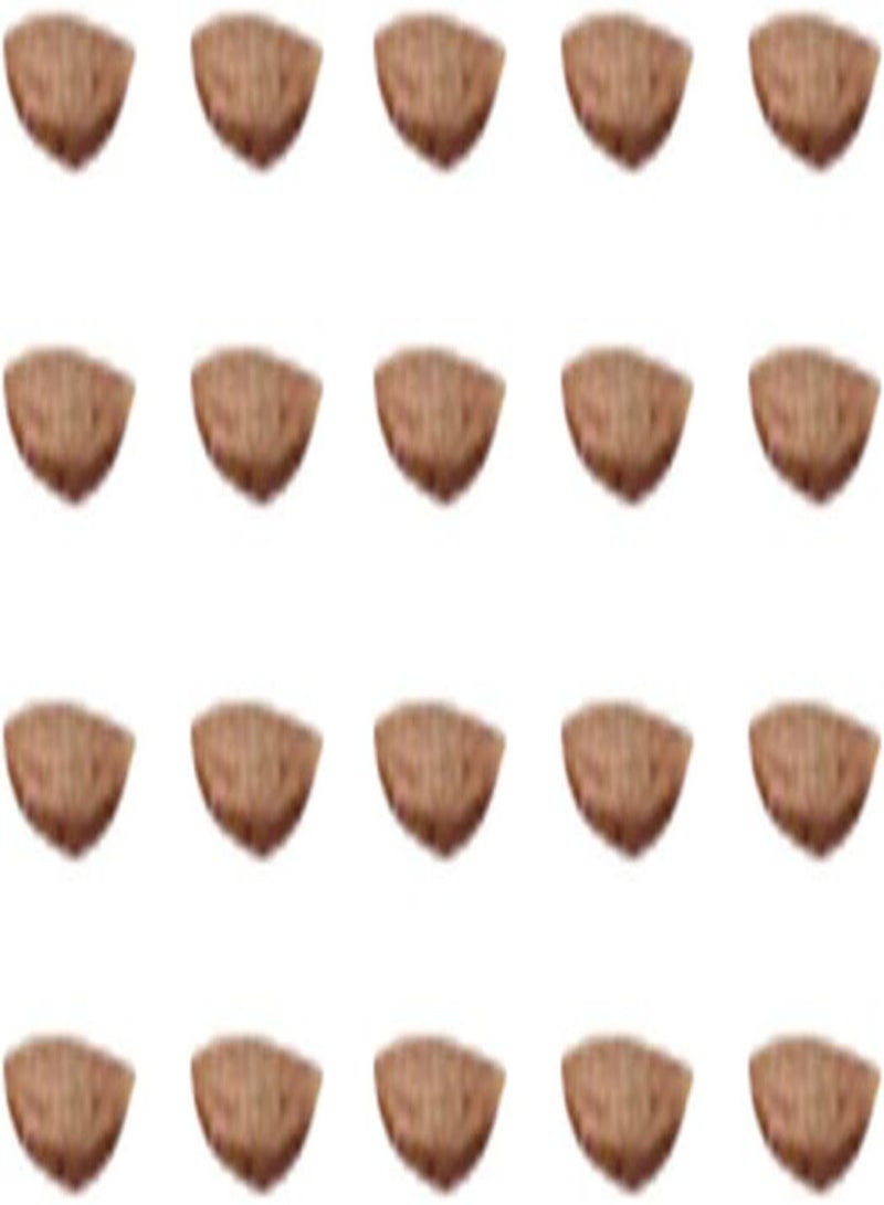 GGOOT Plant Seed 20Pcs/Bag Calathea Crotalifera Seeds Decorative Non GMO Full of Vitality Natural Calathea Crotalifera Seedlings for Garden - Seed - Image 5