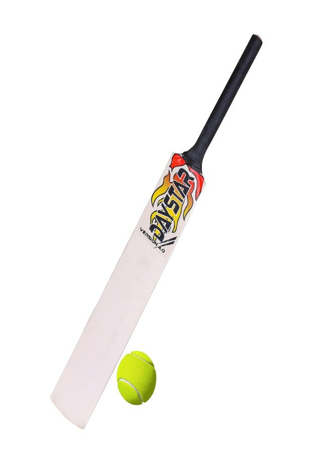 DAYSTAR Wooden Poplar Willow Cricket Bat (6 NO) with Cover & Tenis Ball for Boys (5 no) - Image 2