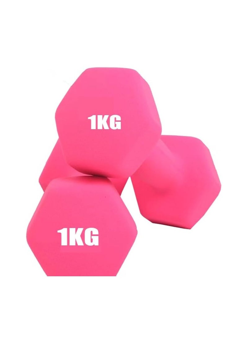 Dumbbells Weights Exercise Pink 1KG*2