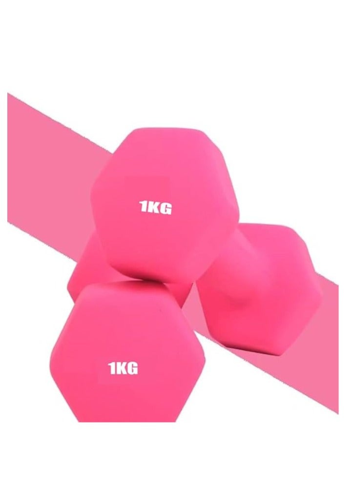 Dumbbells Weights Exercise Pink 1KG*2