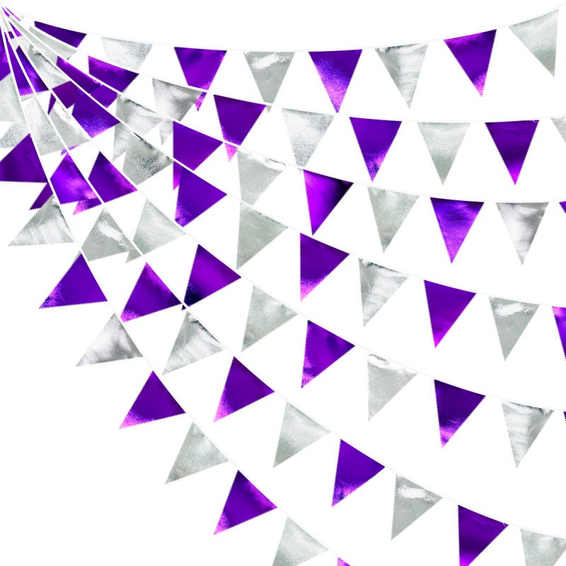 pinkblume Purple and Silver Party Decorations Triangle Pennant Banner Flag Metallic Fabric Bunting Garland for Birthday Graduation Retirement Bachelorette Wedding Bridal Shower Engagement Disco Party Supplies - Image 1