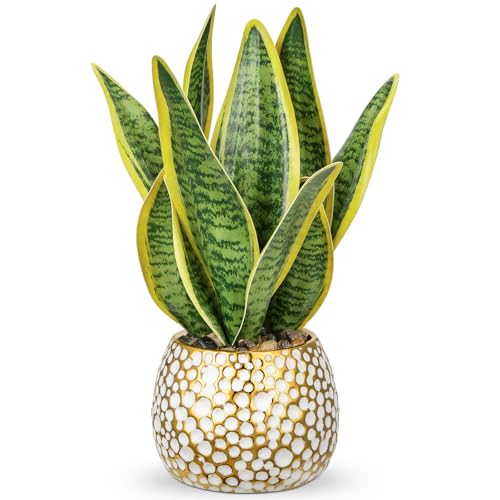 Hollyone Artificial Snake Plant Potted Faux Sansevieria Trifasciata Plants 13 Tropical Fake Plants in Ceramic Pots for Home Office Room Indoor Decor Housewarming Gifts - Image 1