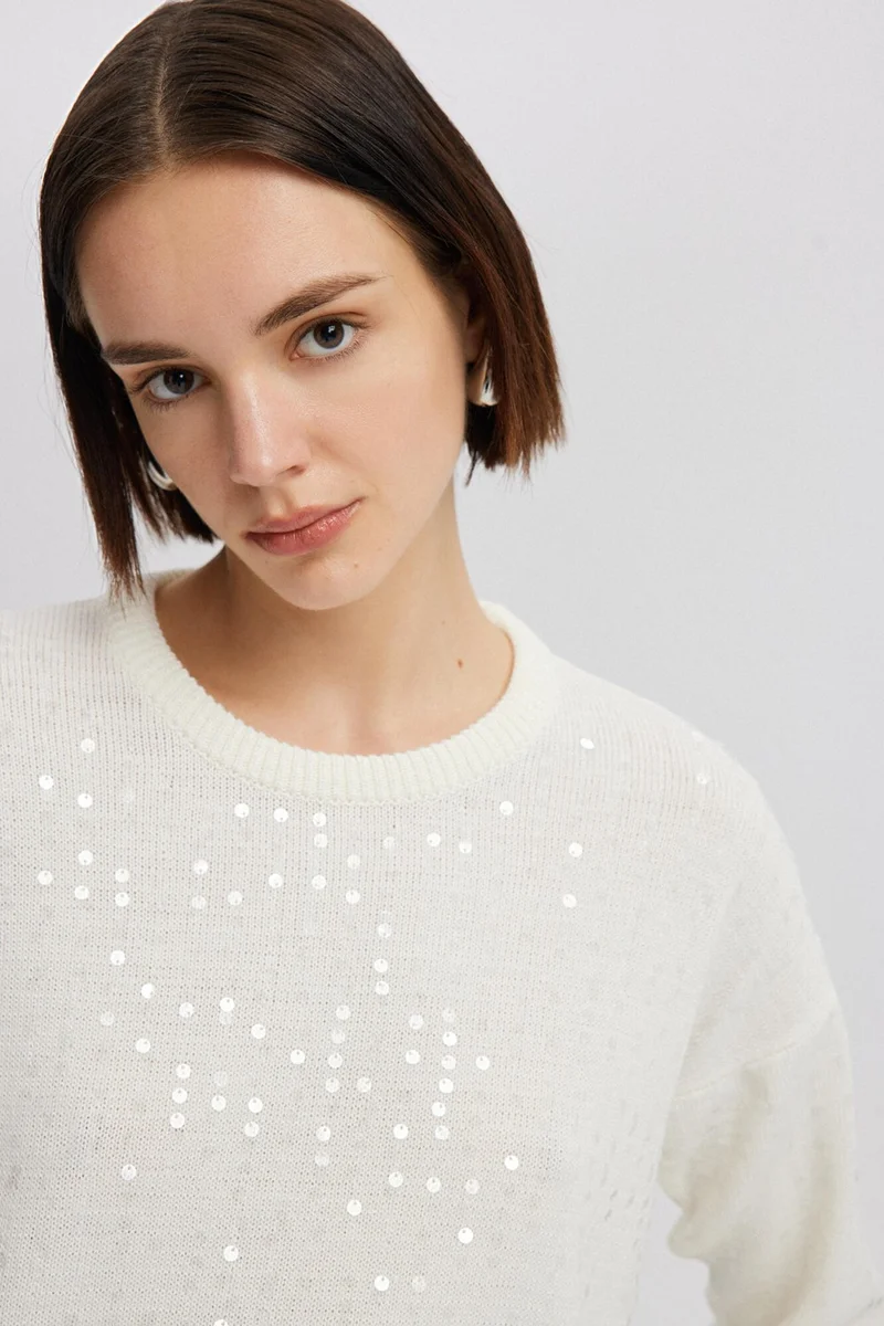 Touche Sequined Knitwear Sweater