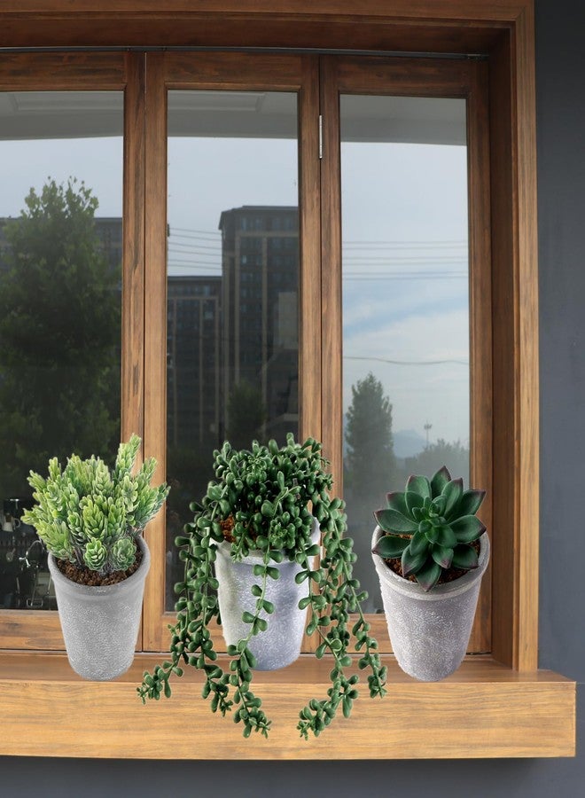 COTSEN 3 Pcs Artificial Succulents Potted Plants Assorted Fake Succulents Potted for Family Office Garden Interior Decor - Image 2