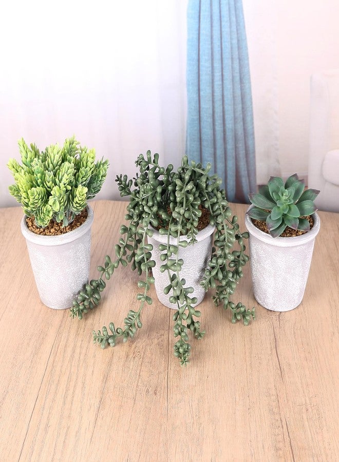 COTSEN 3 Pcs Artificial Succulents Potted Plants Assorted Fake Succulents Potted for Family Office Garden Interior Decor - Image 5