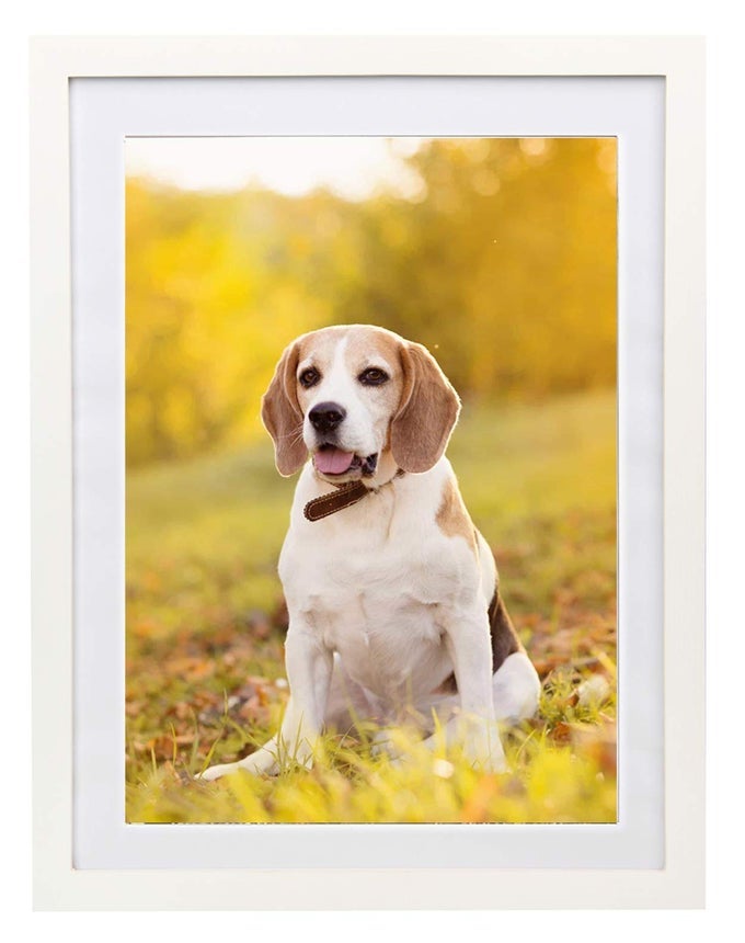 12X16 DIAMOND PAINTING PICTURE FRAME DIAMOND ART FRAMEDISPLAY PICTURES 10 X 14 INCH25X35 CM WITH MAT OR 12 X 16 INCH30X40 CM WITHOUT MATSOLID WOOD WHITE YNCK0022