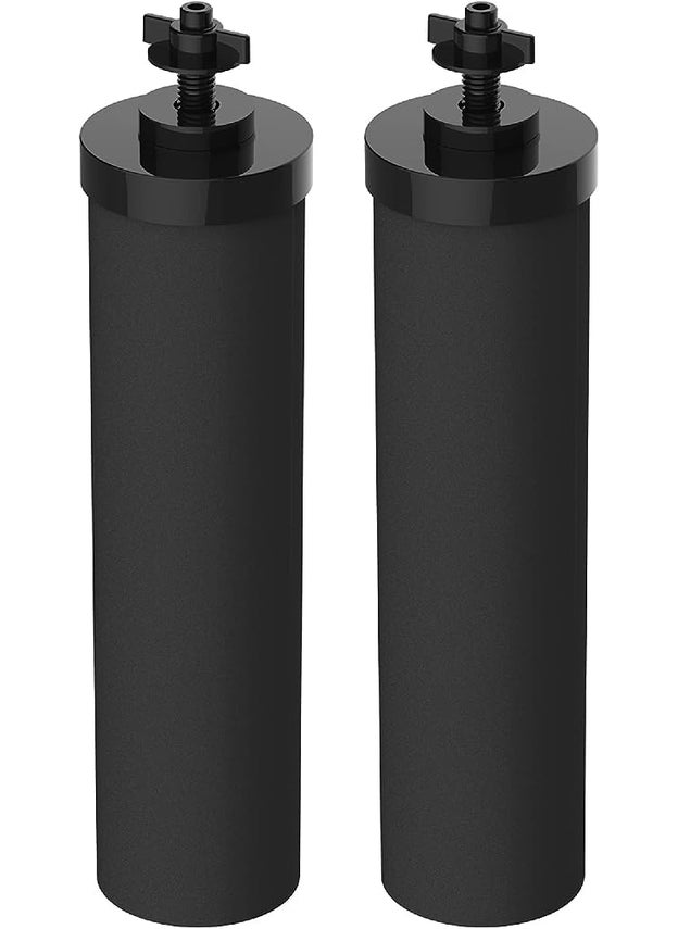 Filterlogic NSFANSI 42372 Certified Water Filter Replacement for Berkey BB92 Black Purification Elements and Berkey Gravity Filter System Pack of 2