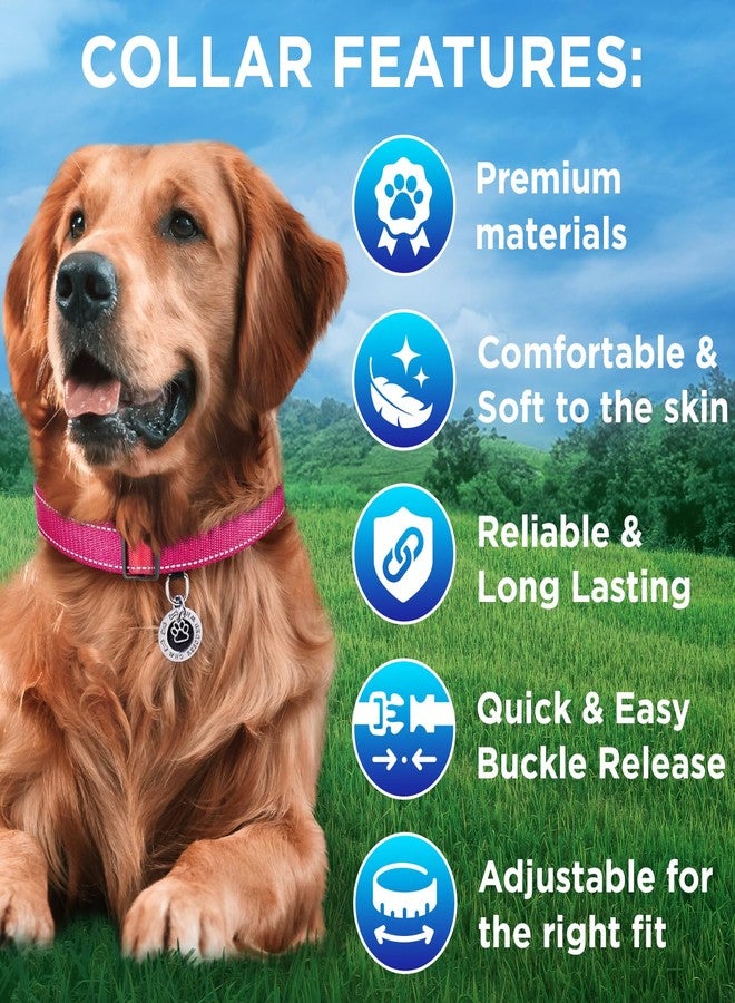 TECEUM Reflective Dog Collar – Hot Pink – M – Basic Nylon Pet Collar – Quick Release Buckle – Fits Small, Medium and Large Dogs, Puppies, Cats – ESA & Service Dog Options - Image 3