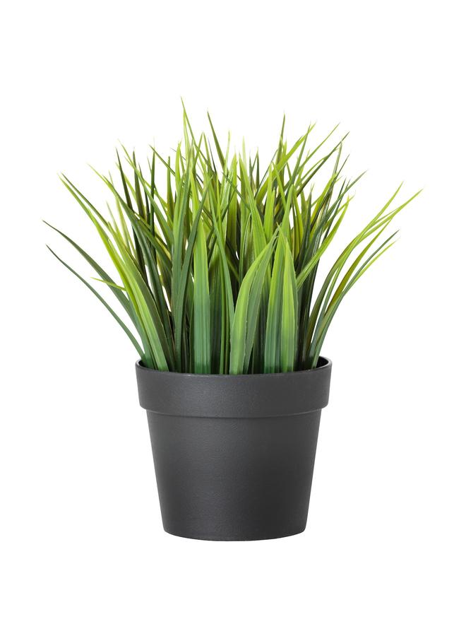 Zaboon Artificial potted plant, in/outdoor grass, 9 cm - Image 1