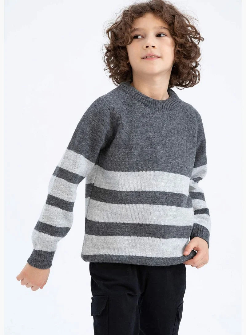 DeFacto Boy Crew Neck Long Sleeve Tricot Pullover