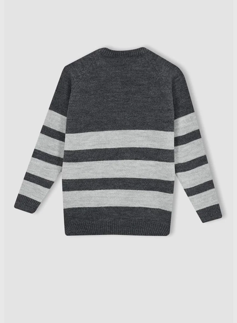 DeFacto Boy Crew Neck Long Sleeve Tricot Pullover