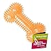 Gnawsome Dog Toys 65 Spiky Squeaker Bone Medium Dental Gum Wellness Stimulating Fun Hidden Squeaker Durable for Heavy Chewers 100 BPAFree Assorted Colors - Image 3