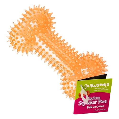 Gnawsome Dog Toys 65 Spiky Squeaker Bone Medium Dental Gum Wellness Stimulating Fun Hidden Squeaker Durable for Heavy Chewers 100 BPAFree Assorted Colors - Image 1