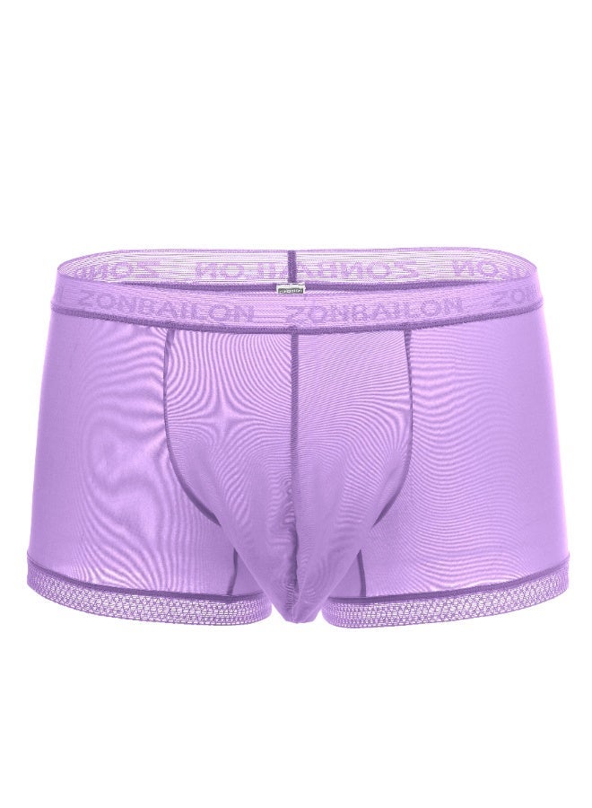 ZONBAILON Ultra Thin Ice Silk Men's Boxer Briefs, See-Through Breathable Mesh Waistband Underwear, 80% Nylon 20% Spandex Soft Stretch Male Shorts Sizes M-3XL - Image 1