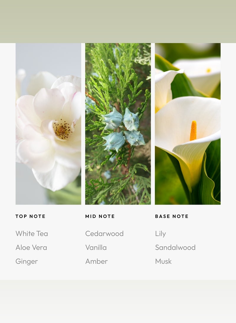 AROMA360 Dream On Fragrance Oil Blend - Hotel Inspired for Luxury Essential Oil Diffusers - Aromatherapy Scent Diffuser Oil - White Tea, Aloe Vera, and Lily  - Image 4