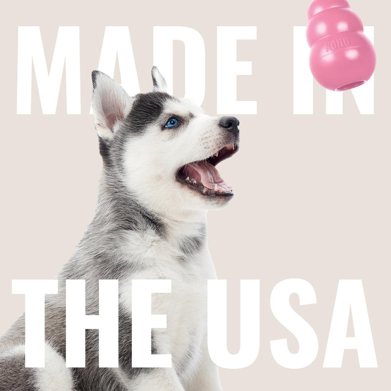 KONG - Puppy Toy Natural Teething Rubber - Fun to Chew, Chase and Fetch - for Small Puppies - Pink - Image 5