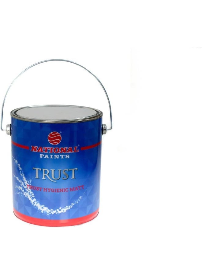 NATIONAL PAINTS Trust Hygienic Matt 3.6 Liter Mushroom 805