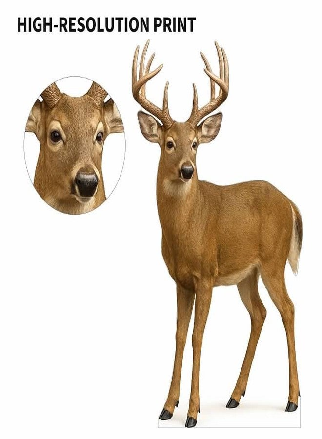 EZISHIPS White Tail Deer 2FT Life Size Cardboard Cutout – A Fun Animal Standup for Photo Booths, Birthday Parties, and Events - Image 4