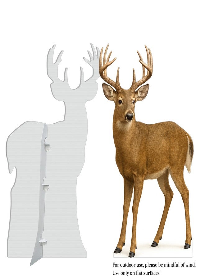 EZISHIPS White Tail Deer 2FT Life Size Cardboard Cutout – A Fun Animal Standup for Photo Booths, Birthday Parties, and Events - Image 3