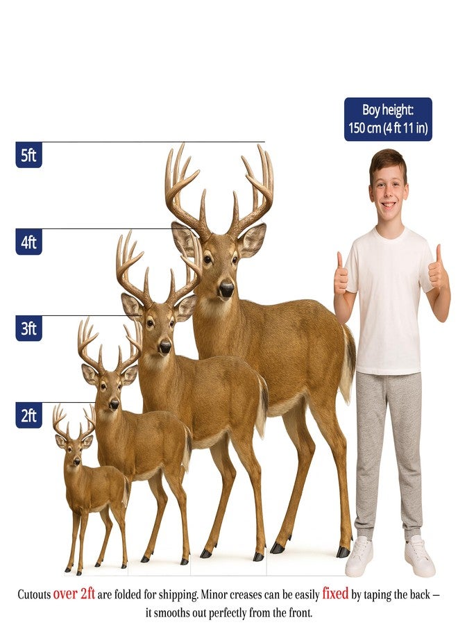 EZISHIPS White Tail Deer 2FT Life Size Cardboard Cutout – A Fun Animal Standup for Photo Booths, Birthday Parties, and Events - Image 2